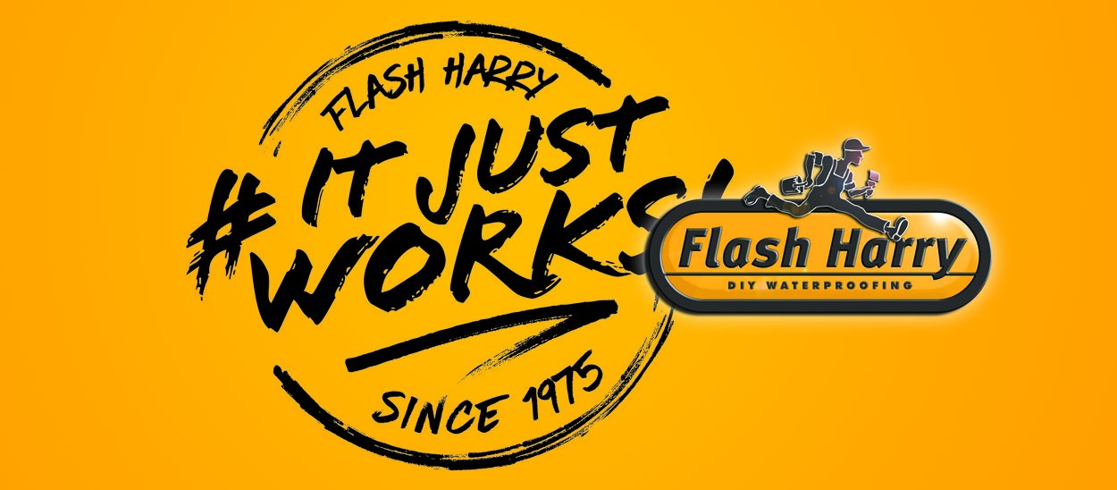 Flash Harry Home Banner